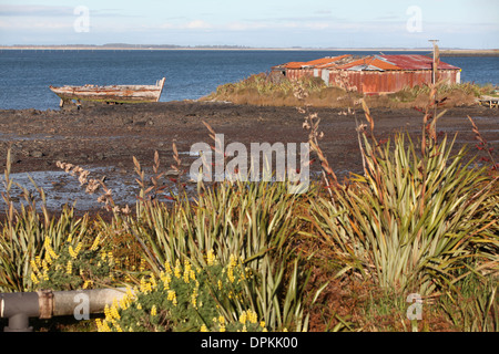 Una vecchia barca disastrate e arrugginito capannone ondulato a Bluff, una città commerciale vicino a Invercargill, Isola del Sud, Nuova Zelanda Foto Stock