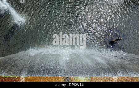 Funchal Madeira. guardando in giù da una cascata nel Monte Palace giardini tropicali Foto Stock
