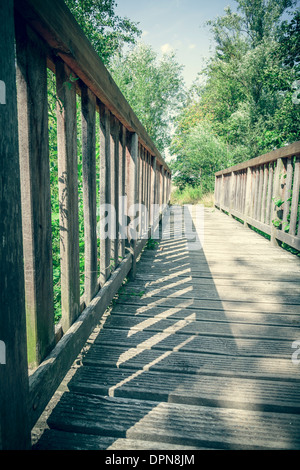 Semplice ponte in legno che conduce in una foresta. Foto Stock
