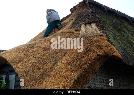 Regno Unito west sussex una thatcher lavorando sul tetto di un cottage Foto Stock