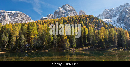I Cadini di Misurina e le Cianpedele, con autunno larici, si vede attraverso il Lago di Misurina. Dolomiti, nord Italia. Foto Stock