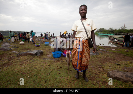 Le donne di contenimento di persico del Nilo (ritardatari niloticus) Kisumu, il lago Victoria, Kenya Foto Stock