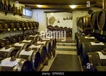 Aceto balsamico (aceto balsamico) produzione nei pressi di Spilamberto, la provincia di Modena, Emilia Romagna Foto Stock