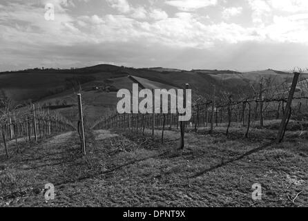 Appennino Ancarini Passito vigna vigneto e agriturismo sulla Strada dei Vini e Sapori Strada del Vino in Emilia Romagna Foto Stock