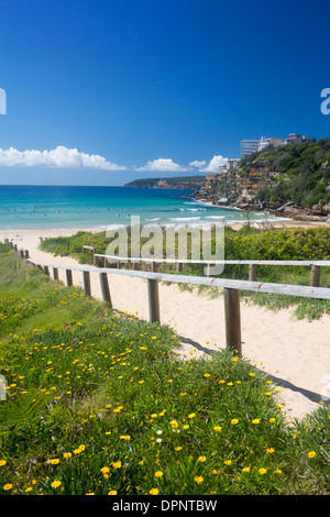 Spiaggia di acqua dolce spiagge settentrionali Warringah Sydney New South Wales AUSTRALIA Foto Stock