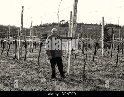 Appennino Ancarini vigneto vino passito vigna & agriturismo sulla Strada dei Vini e Sapori Strada del Vino in Emilia Romagna Foto Stock