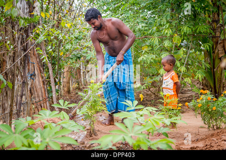 Agricoltore routing trincea di irrigazione nel suo giardino mentre suo figlio orologi, Mullaitivu District, provincia settentrionale, Sri Lanka. Foto Stock