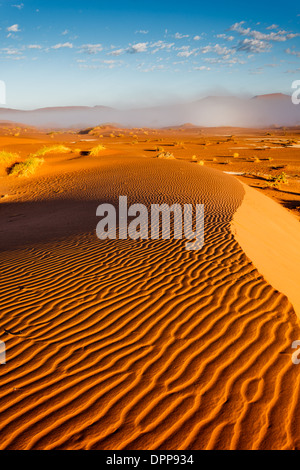 Bordo della duna di sabbia crinale mostra increspata pattern del lato spazzate dal vento delle dune di sabbia arancione come nebbia di mattina sorge al di là. Foto Stock