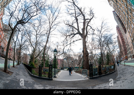 New York, NY - 15 Gennaio 2014 - Hangman di olmo, (centro destra) il più antico albero in Manhattan, sorge a Washington Square Park. Foto Stock