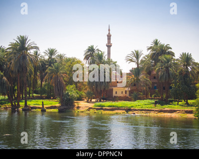 Palme e vegetazione verde linea le rive del fiume Nilo vicino a Luxor, Egitto Foto Stock