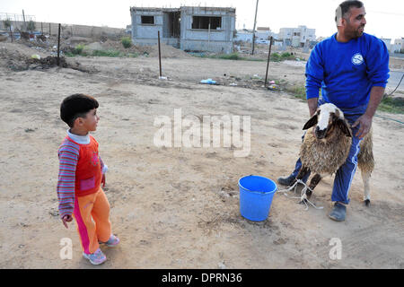 Dic 08, 2008 - Rahat, Israele - una famiglia di Beduini in Lakiya, Israele celebrare Eid al-Adha da sacrificare un agnello. Eid al-Adha o la festa del sacrificio è una festa religiosa celebrata dai musulmani e drusi in tutto il mondo in commemorazione della volontà di Abramo al sacrificio di suo figlio come un atto di obbedienza a Dio. Oggi in tutto il mondo i musulmani che hanno i mezzi per, il sacrificio di un Foto Stock