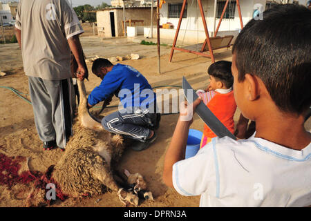 Dic 08, 2008 - Rahat, Israele - una famiglia di Beduini in Lakiya, Israele celebrare Eid al-Adha da sacrificare un agnello. Eid al-Adha o la festa del sacrificio è una festa religiosa celebrata dai musulmani e drusi in tutto il mondo in commemorazione della volontà di Abramo al sacrificio di suo figlio come un atto di obbedienza a Dio. Oggi in tutto il mondo i musulmani che hanno i mezzi per, il sacrificio di un Foto Stock