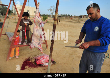 Dic 08, 2008 - Rahat, Israele - una famiglia di Beduini in Lakiya, Israele celebrare Eid al-Adha da sacrificare un agnello. Eid al-Adha o la festa del sacrificio è una festa religiosa celebrata dai musulmani e drusi in tutto il mondo in commemorazione della volontà di Abramo al sacrificio di suo figlio come un atto di obbedienza a Dio. Oggi in tutto il mondo i musulmani che hanno i mezzi per, il sacrificio di un Foto Stock