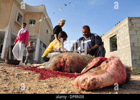 Dic 08, 2008 - Rahat, Israele - una famiglia di Beduini in Lakiya, Israele celebrare Eid al-Adha da sacrificare un agnello. Eid al-Adha o la festa del sacrificio è una festa religiosa celebrata dai musulmani e drusi in tutto il mondo in commemorazione della volontà di Abramo al sacrificio di suo figlio come un atto di obbedienza a Dio. Oggi in tutto il mondo i musulmani che hanno i mezzi per, il sacrificio di un Foto Stock