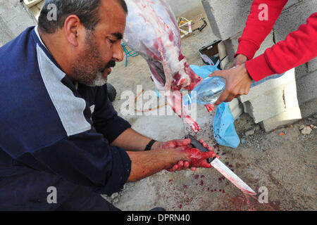 Dic 08, 2008 - Rahat, Israele - una famiglia di Beduini in Lakiya, Israele celebrare Eid al-Adha da sacrificare un agnello. Eid al-Adha o la festa del sacrificio è una festa religiosa celebrata dai musulmani e drusi in tutto il mondo in commemorazione della volontà di Abramo al sacrificio di suo figlio come un atto di obbedienza a Dio. Oggi in tutto il mondo i musulmani che hanno i mezzi per, il sacrificio di un Foto Stock