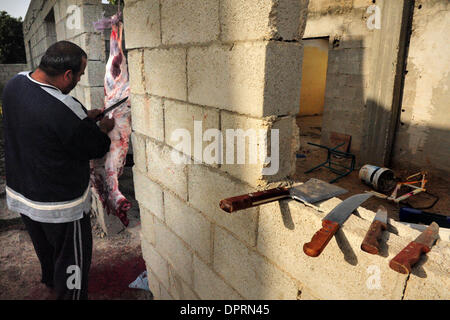 Dic 08, 2008 - Rahat, Israele - una famiglia di Beduini in Lakiya, Israele celebrare Eid al-Adha da sacrificare un agnello. Eid al-Adha o la festa del sacrificio è una festa religiosa celebrata dai musulmani e drusi in tutto il mondo in commemorazione della volontà di Abramo al sacrificio di suo figlio come un atto di obbedienza a Dio. Oggi in tutto il mondo i musulmani che hanno i mezzi per, il sacrificio di un Foto Stock