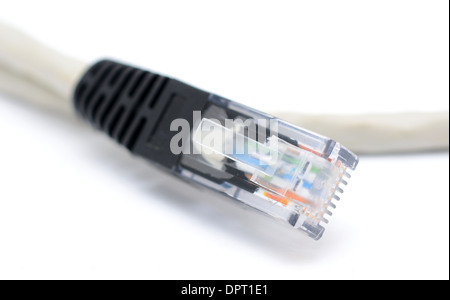 Macro shot del grigio UTP RJ45 per i dati patch cord in bianco. Foto Stock