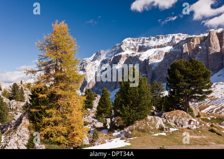 Vista nord dal di sopra del Passo Sella verso il gruppo del Sella in autunno con la prima neve; Dolomiti, nord Italia. Foto Stock