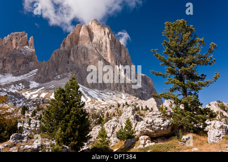 Vista verso il gruppo del Sassolungo dal Passo Sella, attraverso il 'Stone citta' in autunno; Dolomiti Italia del nord Foto Stock