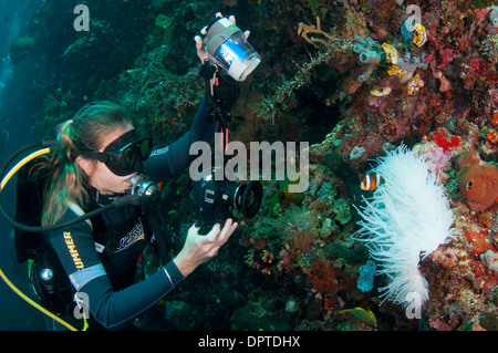 Fotografo subacqueo con anemonefish, Bunaken, Manado, Nord Sulewesi, Indonesia. Foto Stock