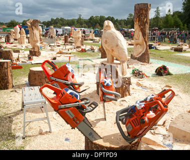 Carrbridge motosega annuale di sculture in legno di concorrenza 2013. SCO 9223. Foto Stock