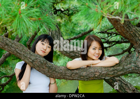 Due giovani donne appoggiate sul ramo sempreverde Foto Stock