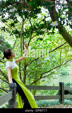 Giovane Donna Che Guarda I Rami Foto Stock