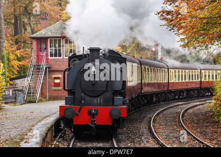 Treno a vapore del lago e Haverthwaite avvicinamento ferroviaria stazione sul lago a Windermere, Cumbria Foto Stock