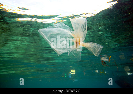 Sacchetti di plastica e altri rifiuti pericolosi subacquea flottante sulla barriera corallina nel Parco Nazionale di Bunaken, Nord Sulawesi Foto Stock
