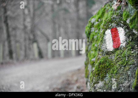 Banda rossa escursionismo segno su un muschio rock Foto Stock