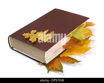 Acero quercia e foglie di autunno nel libro isolato su bianco Foto Stock