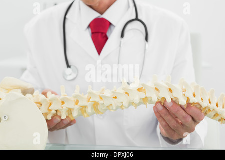 La sezione centrale di un medico azienda modello di scheletro Foto Stock