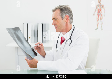 Medico cerchi a raggi x foto di polmoni in office Foto Stock