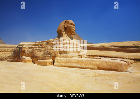 La Sfinge di Giza in Egitto Foto Stock