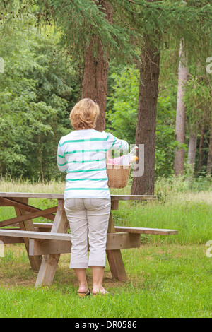 Vista posteriore di una donna collocando un Cesto picnic su un tavolo in un bosco di impostazione. Foto Stock
