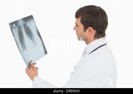 Concentrato medico maschio guardando a raggi x foto di polmoni Foto Stock