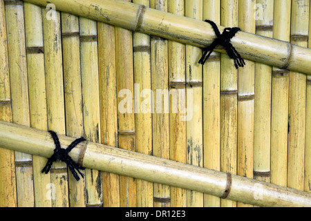 Dettaglio di un recinto di bambù nel giardino Zen a Ginkakuji Temple, Kyoto in Giappone. Foto Stock