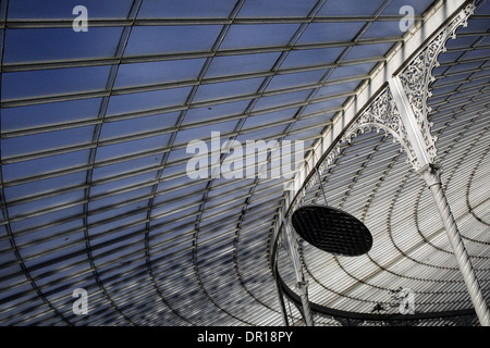 Viste interne di Glasgow Botanic Gardens - Città di Glasgow - Scozia - REGNO UNITO Foto Stock