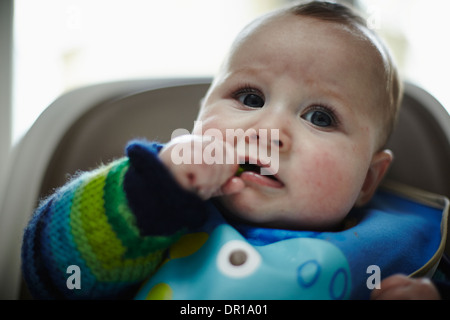 Un bambino circa 5 mesi e mezzo che mangia una verdura verde come parte del bambino lo svezzamento led Foto Stock