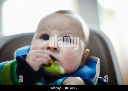 Un bambino circa 5 mesi e mezzo che mangia una verdura verde come parte del bambino lo svezzamento led Foto Stock