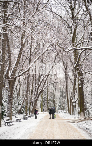 Gruppo di turisti a piedi nel parco innevato Foto Stock