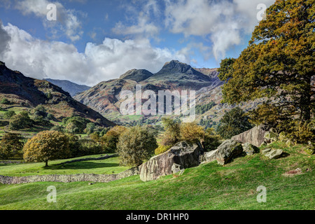 The Langdale Pikes, Lake District in Inghilterra, da copto Howe Foto Stock