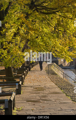 Uomo che cammina da sola, lungo una tranquilla, panoramica e soleggiata, alberata sentiero lungo il fiume sulla giornata di sole a inizio autunno - Dame Judi Dench a piedi, York, England, Regno Unito Foto Stock