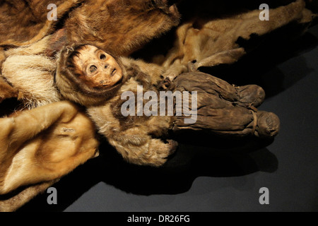 Qilakitsoq mummia in Groenlandia Museo Nazionale, Nuuk, Groenlandia Foto Stock