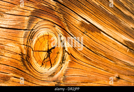 Interessante meteo arancione asse di legno con un grosso nodo Foto Stock