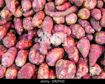 Tessitura , freschi Patate dolci Ignami Foto Stock