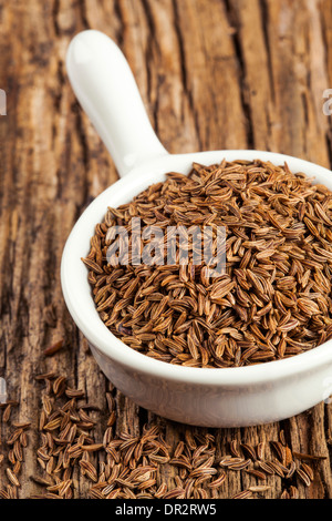 Spice cumino in un bianco vaso in ceramica Foto Stock