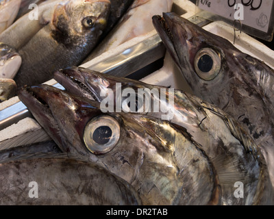 Un close-up di capi di pesci sciabola-pesci Lepidopus caudatus su un italiano di pescivendoli in stallo Foto Stock