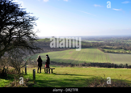 Bucks - Chiltern Hills - Vista dalla Coombe Hill su Beacon Hill a Aylesbury Vale- pomeriggio invernale la luce del sole - scuotipaglia Foto Stock