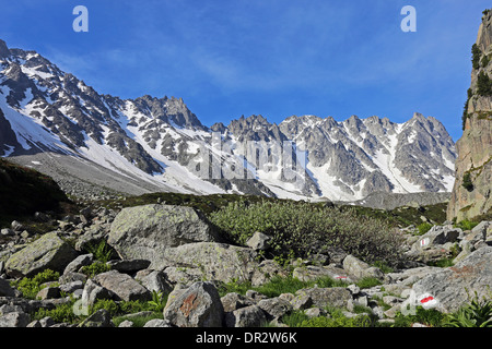 Arpette valle alpina, Mont Blanc massiccio montuoso. Paesaggio alpino. Alpi svizzere. Foto Stock